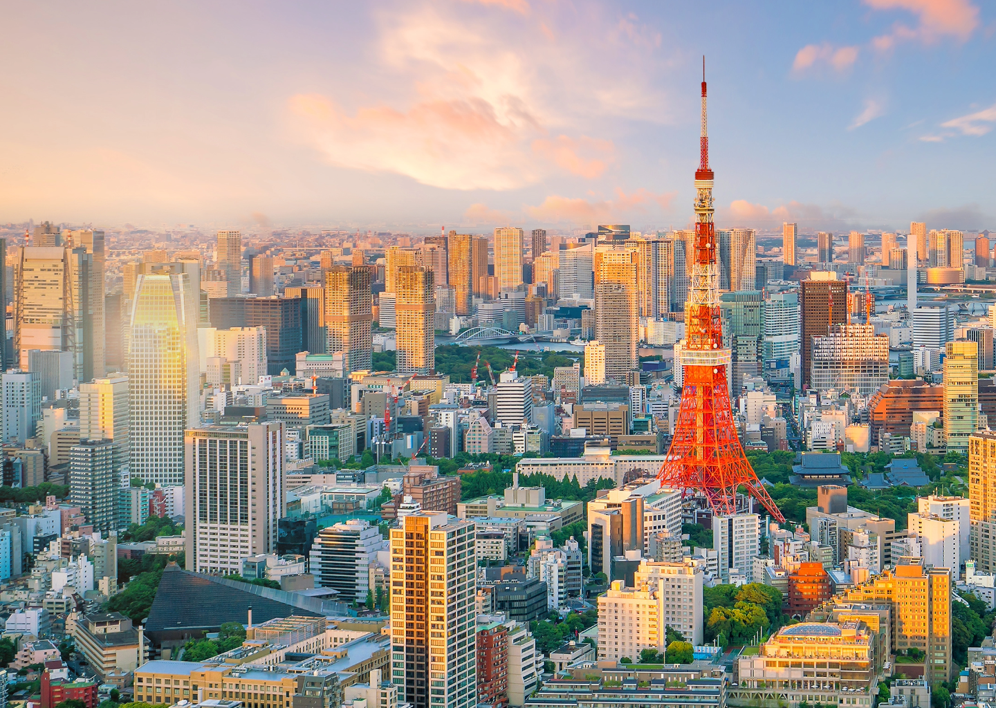 City skyline view of Tokyo, Japan 